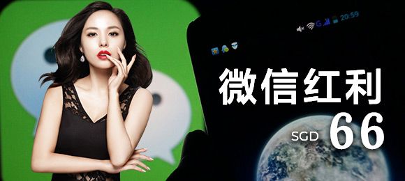 微信优惠SGD66